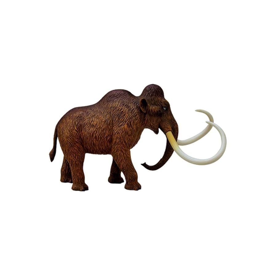 Amazon | Tedco 4D Vision Woolly Mammoth Anatomy Model by